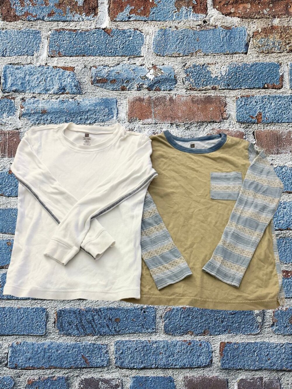 Tea Collection Long Sleeve Boy's T-shirts in size 10